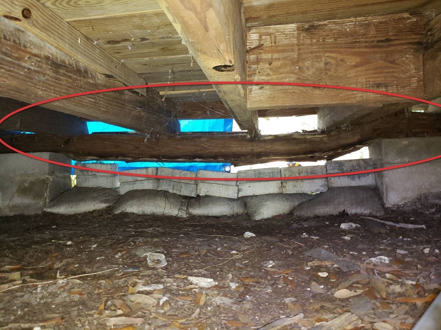 Blogspot Defect Defect Photos October 2023 Everyone out of the house while I’m in the ...